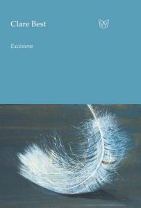 cover of Excisions by Clare Best